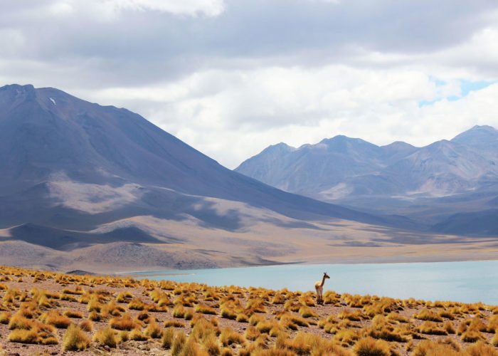 Panorámica Mar y Tierra-www.visitasguiadasegipto.com