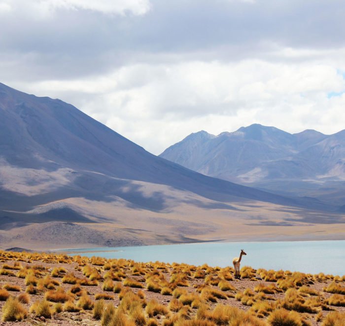 Panorámica Mar y Tierra-www.visitasguiadasegipto.com