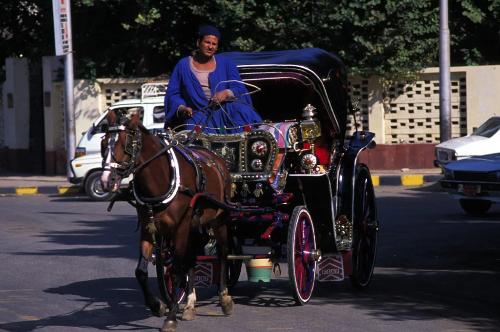 Paseo en Calesa Luxor-www.visitasguiadasegipto.com