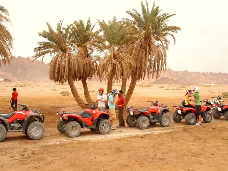 Grupo en Quad-www.visitasguiadasegipto.com